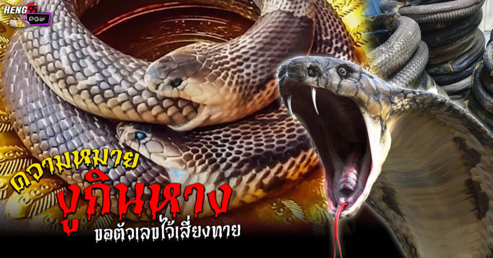 งูกินหางตัวเองหมายถึง ขอตัวเลขไว้เสี่ยงทาย -"A snake eating its own tail means asking for numbers to gamble with."