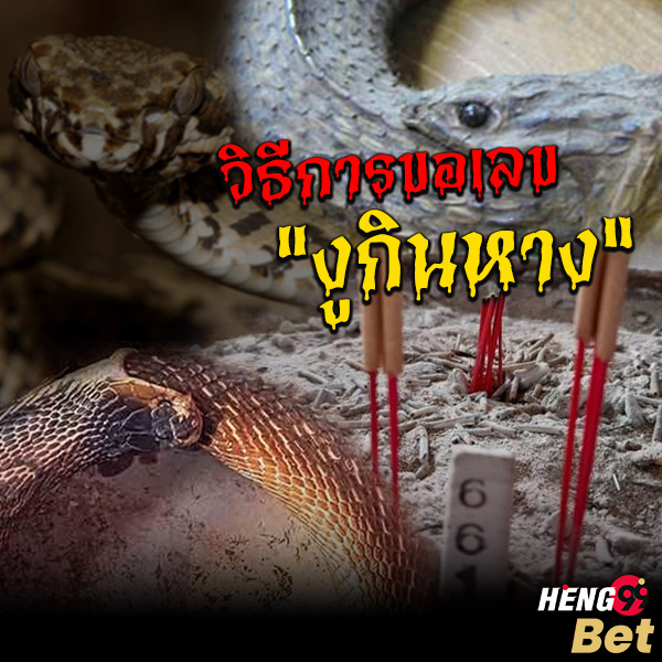 รูปภาพวิธีการขอเลขจากงูกินหางของ heng99