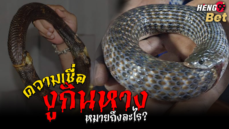 รูปภาพงูกินหางความหมายตามความเชื่อของ heng99