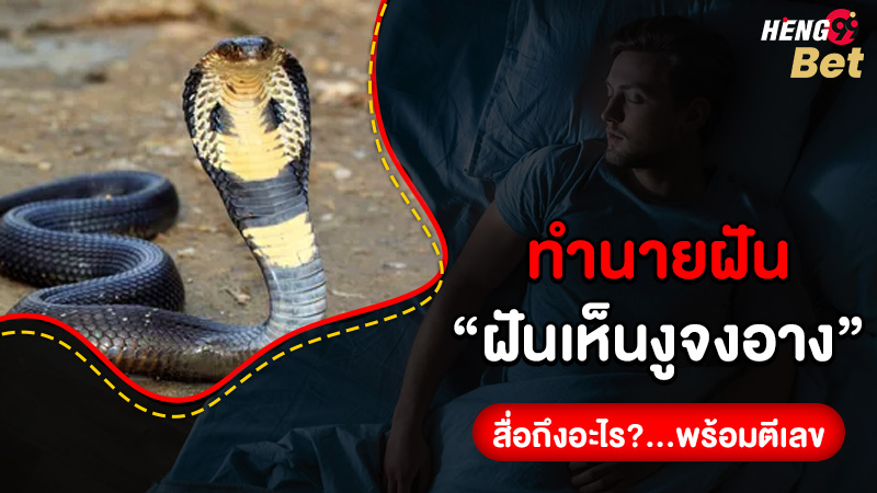 รูปภาพทำนายฝันตีเลขฝันเห็นงูจงอางของ heng99