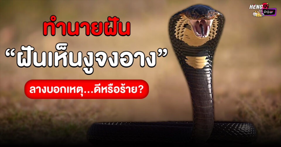 ฝันเห็นงูจงอาง -"Dreaming of a king cobra"